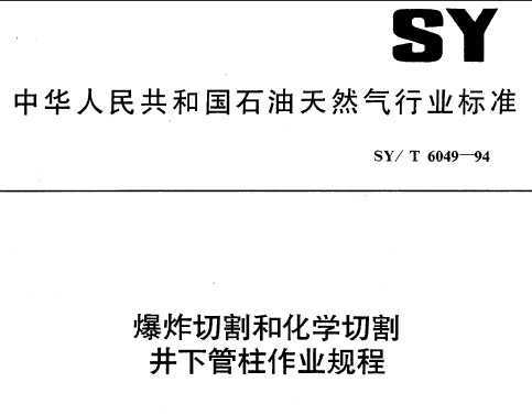 SY/T 6049-1994 ըиͻW(xu)и¹I(y)Ҏ(gu)