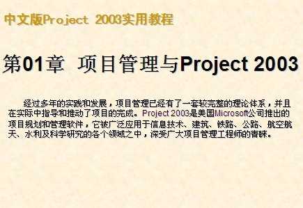 İProject 2003ý̳